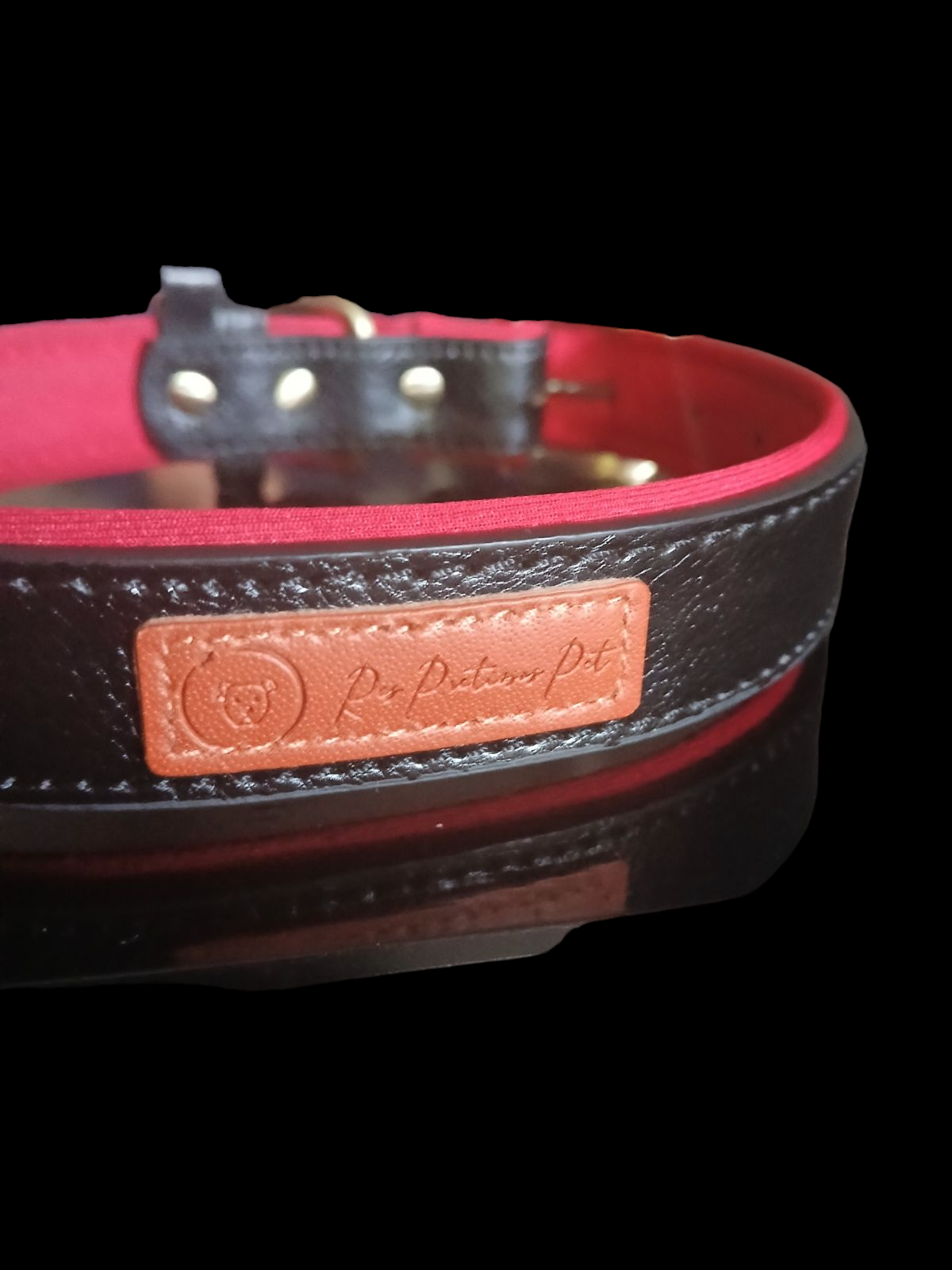 Leather Collars with padded inside