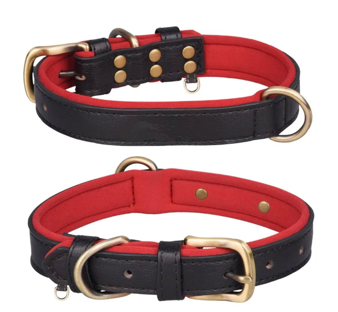 Leather Collars with padded inside