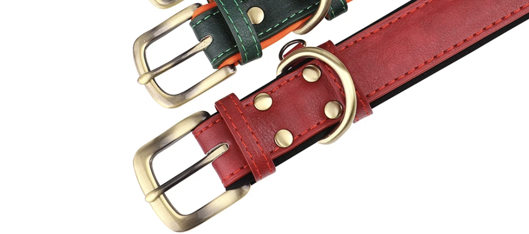 Leather Collars with padded inside