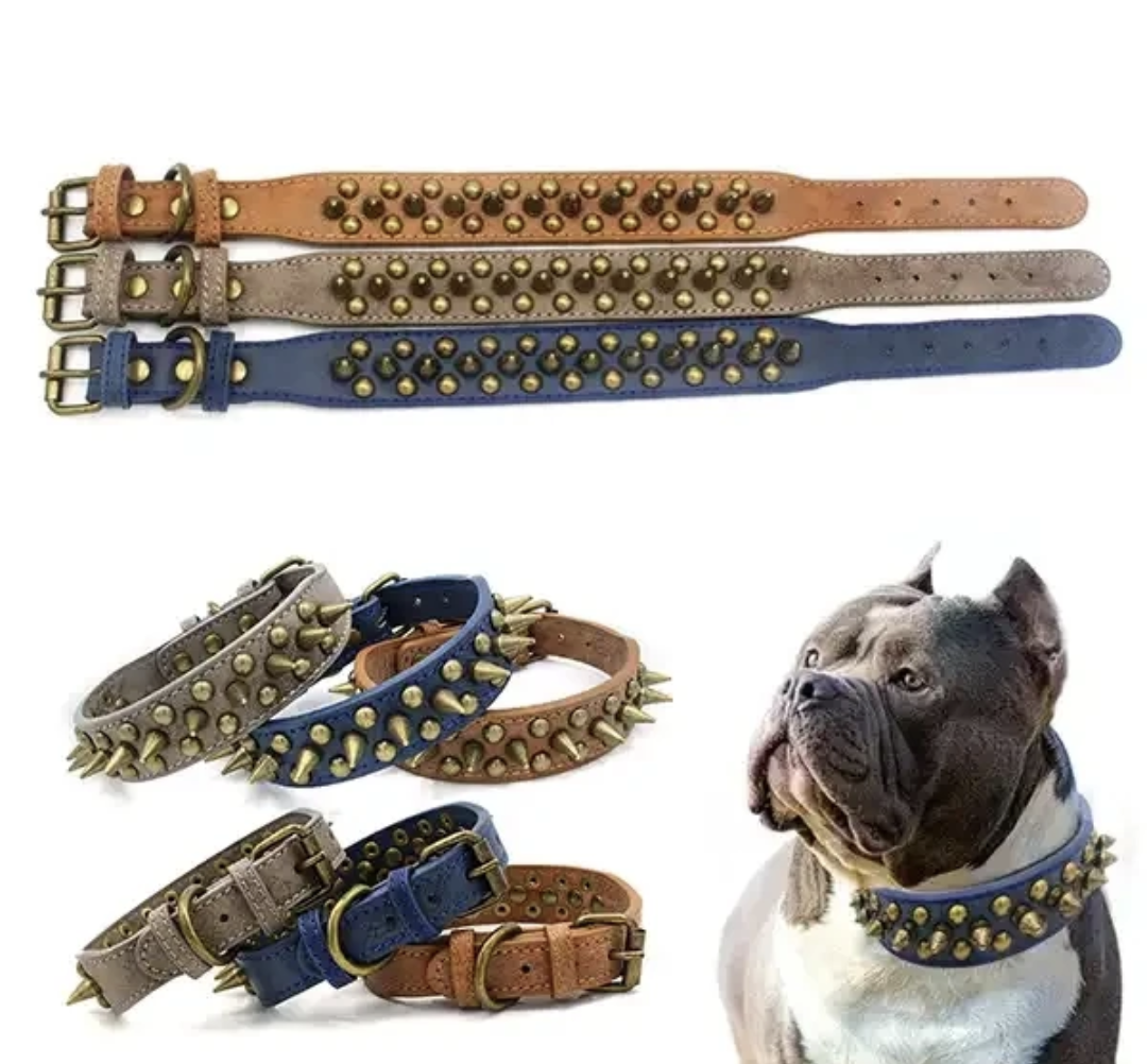 Vintage Style, Spiked, Anti-Bite Collars