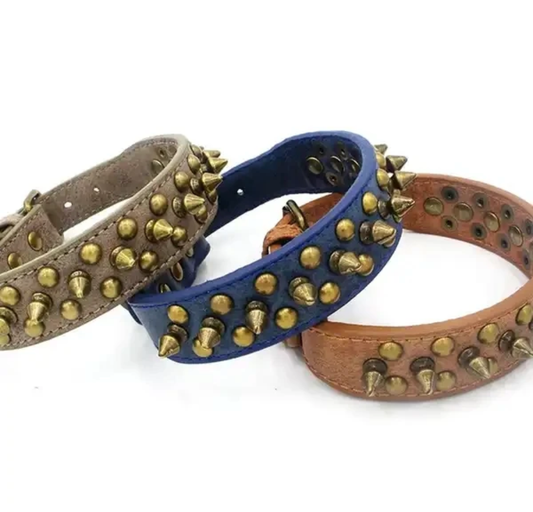 Vintage Style, Spiked, Anti-Bite Collars